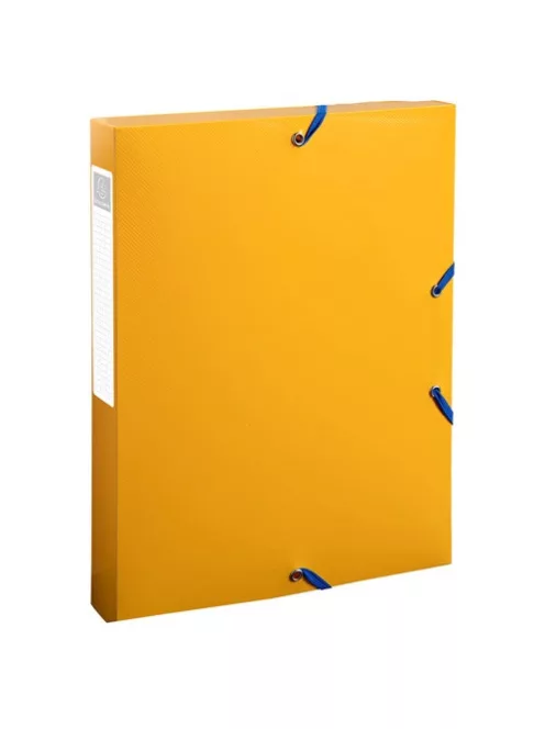 Exacompta Füzetbox Exacompta Bee Blue A/4 40 mm gerinccel PP vegyes színek