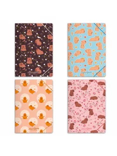 Forever Young Gumis mappa Forever Young A/4 Capybara