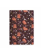 Forever Young Gumis mappa Forever Young A/4 Capybara