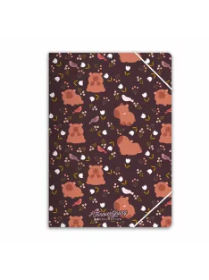 Forever Young Gumis mappa Forever Young A/4 Capybara