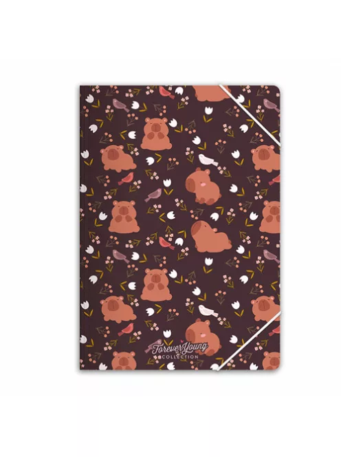 Forever Young Gumis mappa Forever Young A/4 Capybara