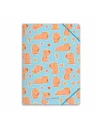 Forever Young Gumis mappa Forever Young A/4 Capybara