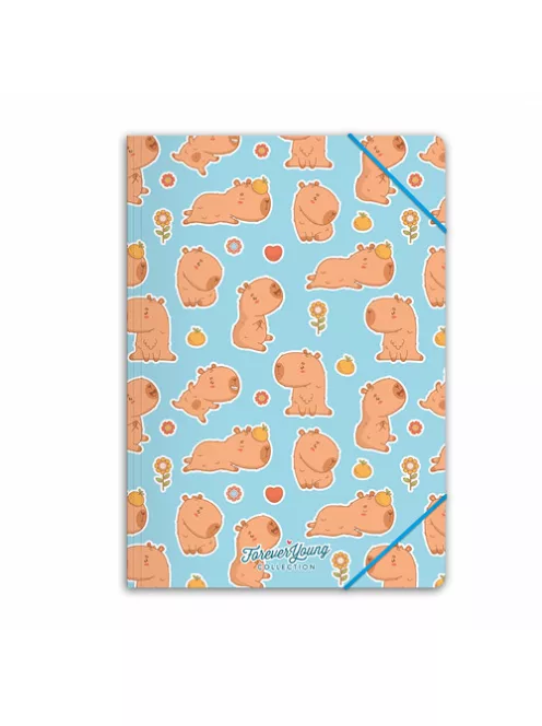 Forever Young Gumis mappa Forever Young A/4 Capybara