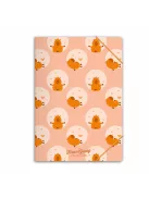 Forever Young Gumis mappa Forever Young A/4 Capybara