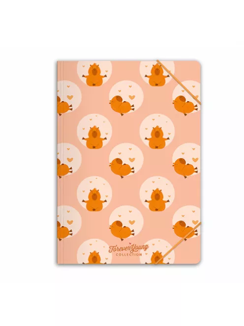 Forever Young Gumis mappa Forever Young A/4 Capybara