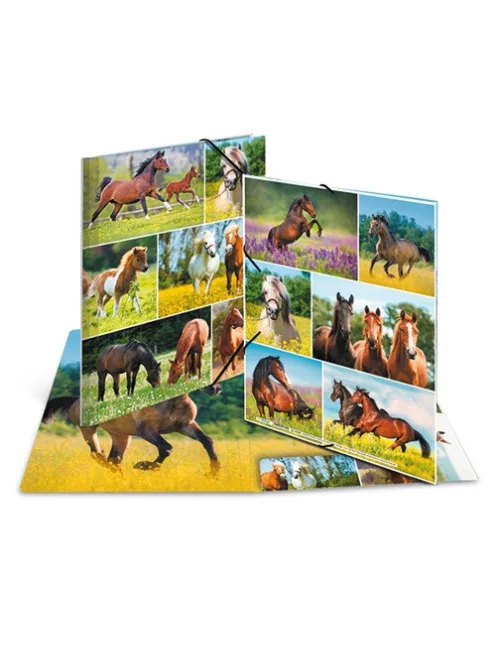 Herma Gumis mappa karton Herma A/4 Lovak