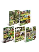 Herma Gumis mappa karton Herma A/4 Lovak