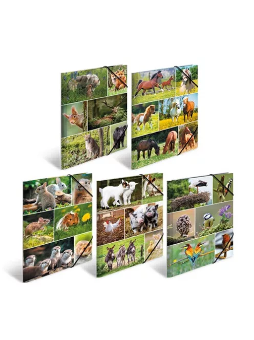 Herma Gumis mappa karton Herma A/4 Lovak