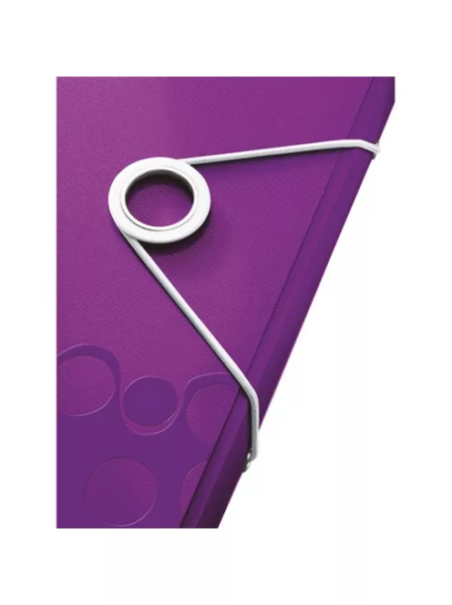 Leitz Gumis mappa PP Esselte Wow lila