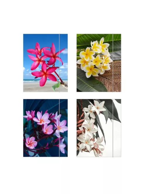 Herlitz Gumis mappa Herlitz Flower A/4