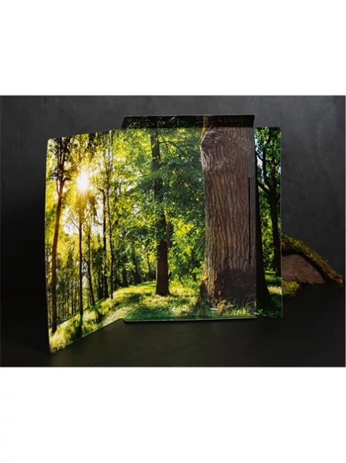 Herma Gumis mappa karton Herma A/4 Fa