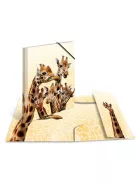 Herma Gumis mappa PP Herma A/4 Zsiráfok