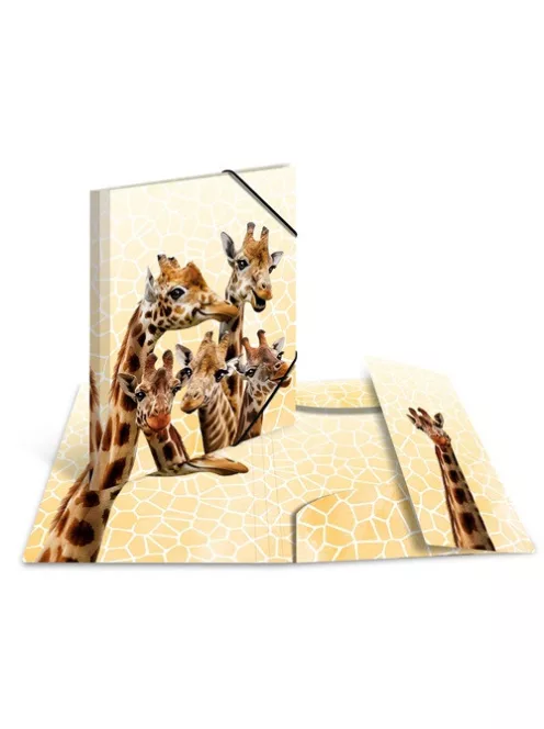 Herma Gumis mappa PP Herma A/4 Zsiráfok