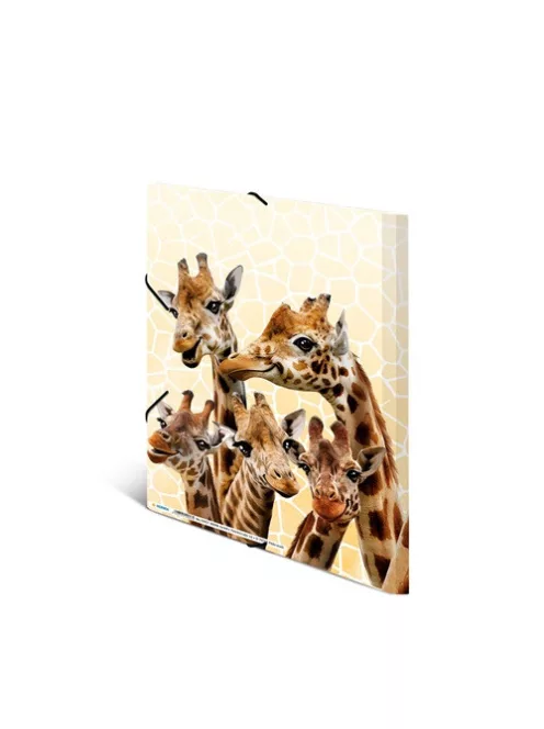 Herma Gumis mappa PP Herma A/4 Zsiráfok