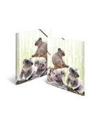 Herma Gumis mappa PP Herma A/4 Koalák