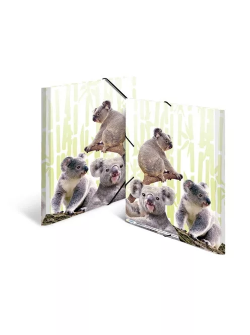 Herma Gumis mappa PP Herma A/4 Koalák