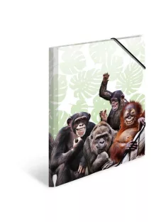 Herma Gumis mappa PP Herma A/4 Majmok