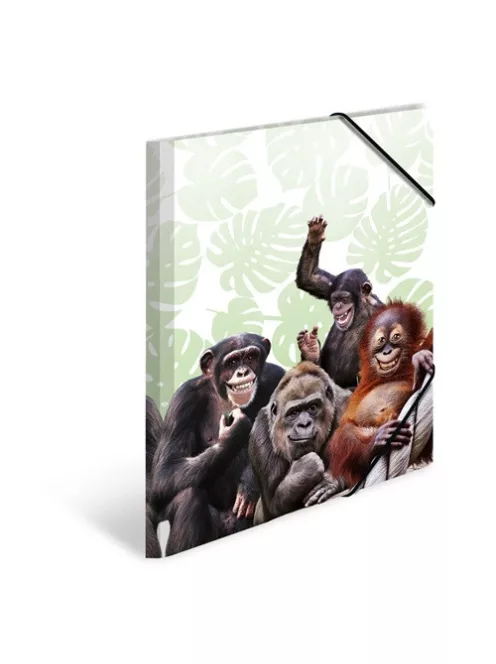 Herma Gumis mappa PP Herma A/4 Majmok