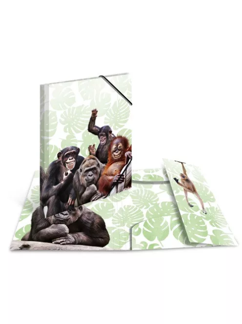 Herma Gumis mappa PP Herma A/4 Majmok