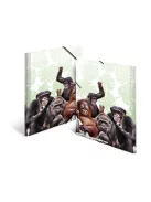 Herma Gumis mappa PP Herma A/4 Majmok