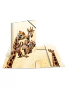 Herma Gumis mappa PP Herma A/3 Zsiráfok