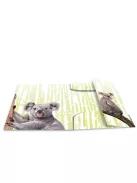 Herma Gumis mappa PP Herma A/3 Koalák