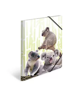 Herma Gumis mappa PP Herma A/3 Koalák