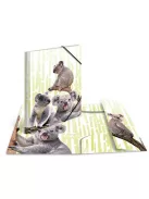 Herma Gumis mappa PP Herma A/3 Koalák