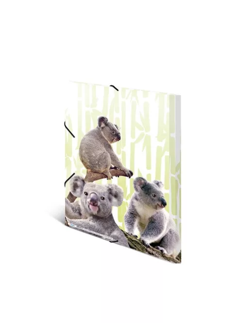 Herma Gumis mappa PP Herma A/3 Koalák