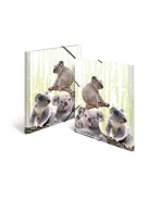 Herma Gumis mappa PP Herma A/3 Koalák