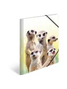 Herma Gumis mappa PP Herma A/3 Szurikáták