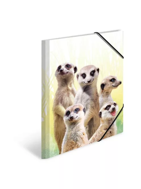 Herma Gumis mappa PP Herma A/3 Szurikáták