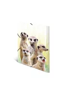 Herma Gumis mappa PP Herma A/3 Szurikáták