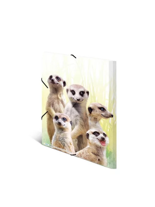 Herma Gumis mappa PP Herma A/3 Szurikáták