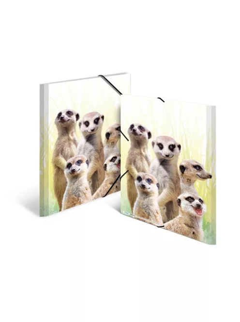 Herma Gumis mappa PP Herma A/3 Szurikáták