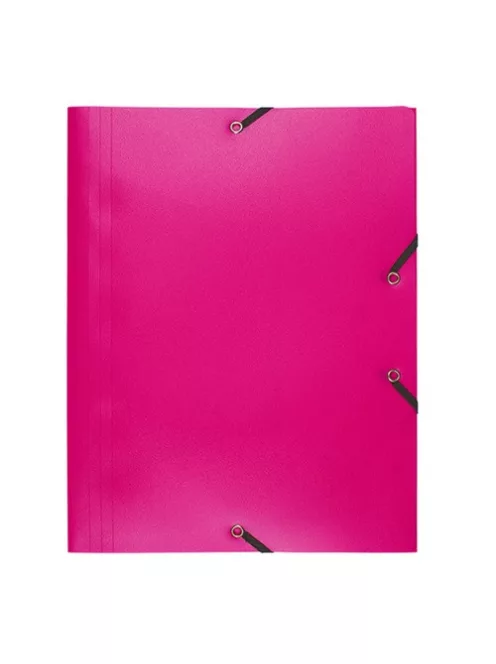 Exacompta Gumis mappa PP Exacompta Opaque A/4 fukszia