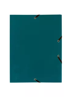 Exacompta Gumis mappa PP Exacompta Opaque A/4 zöld