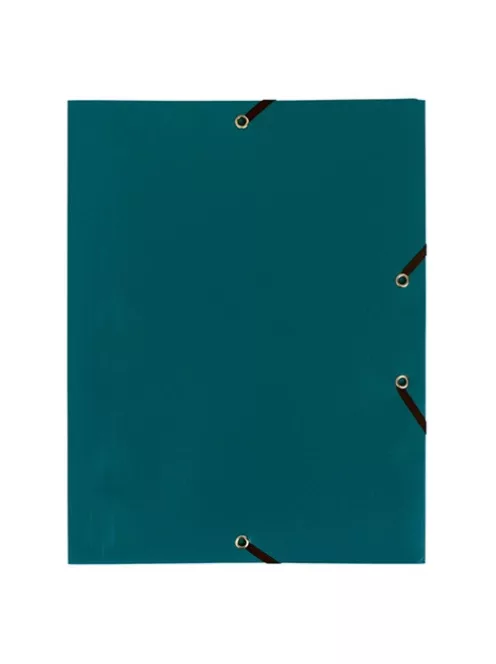 Exacompta Gumis mappa PP Exacompta Opaque A/4 zöld