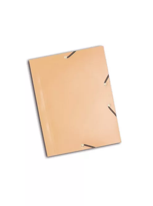 Exacompta Gumis mappa PP Exacompta Opaque A/4 sárga