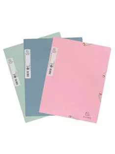   Exacompta Gumis mappa karton Exacompta Autentik A/4 vegyes színek