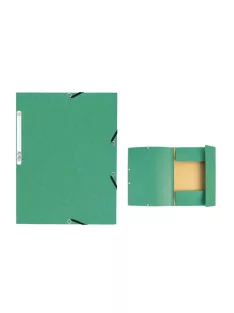 Exacompta Gumis mappa karton Exacompta A/4 355g zöld