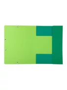 Exacompta Gumis mappa karton Exacompta Forever A/4 zöld