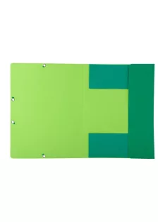 Exacompta Gumis mappa karton Exacompta Forever A/4 zöld