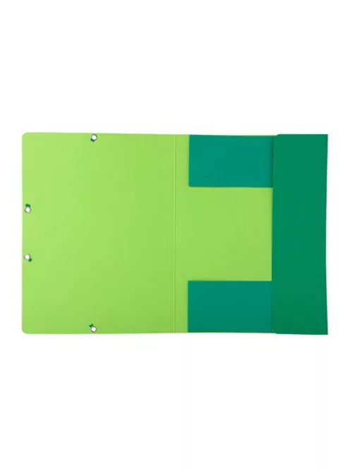 Exacompta Gumis mappa karton Exacompta Forever A/4 zöld