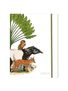   Clairefontaine Gumis mappa karton Clairefontaine Deyrolle Animalis 24x32 cm