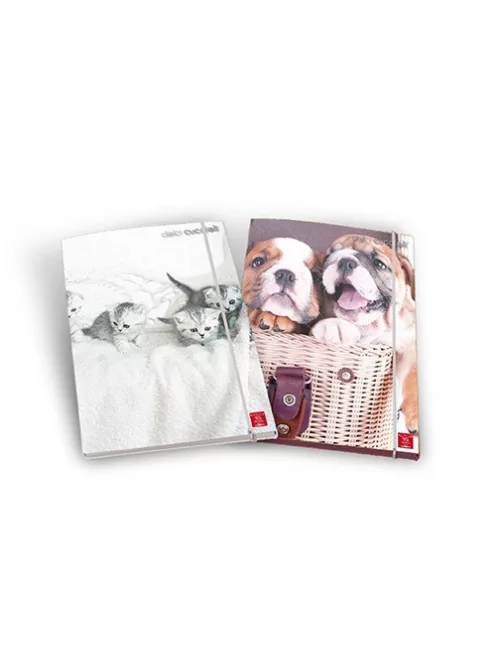 Pigna Gumis mappa karton Pigna Dolci Cuccioli A/4