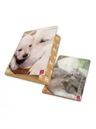 Pigna Gumis mappa karton Pigna Dolci Cuccioli A/4