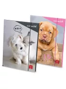 Pigna Gumis mappa karton Pigna Dolci Cuccioli A/4