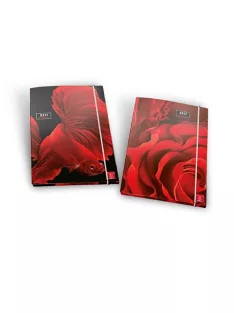 Pigna Gumis mappa Pigna Red Shiver A/4