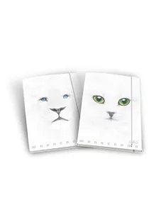 Pigna Gumis mappa Pigna Monocromo White A/4